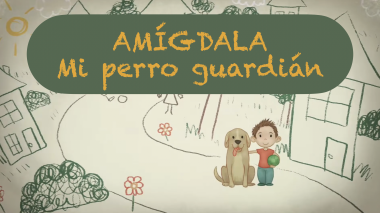 Video: Amígdala, mi perro guardián