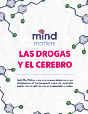Las drogas y el cerebro