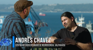 Neurópolis: Qué es la Memoria